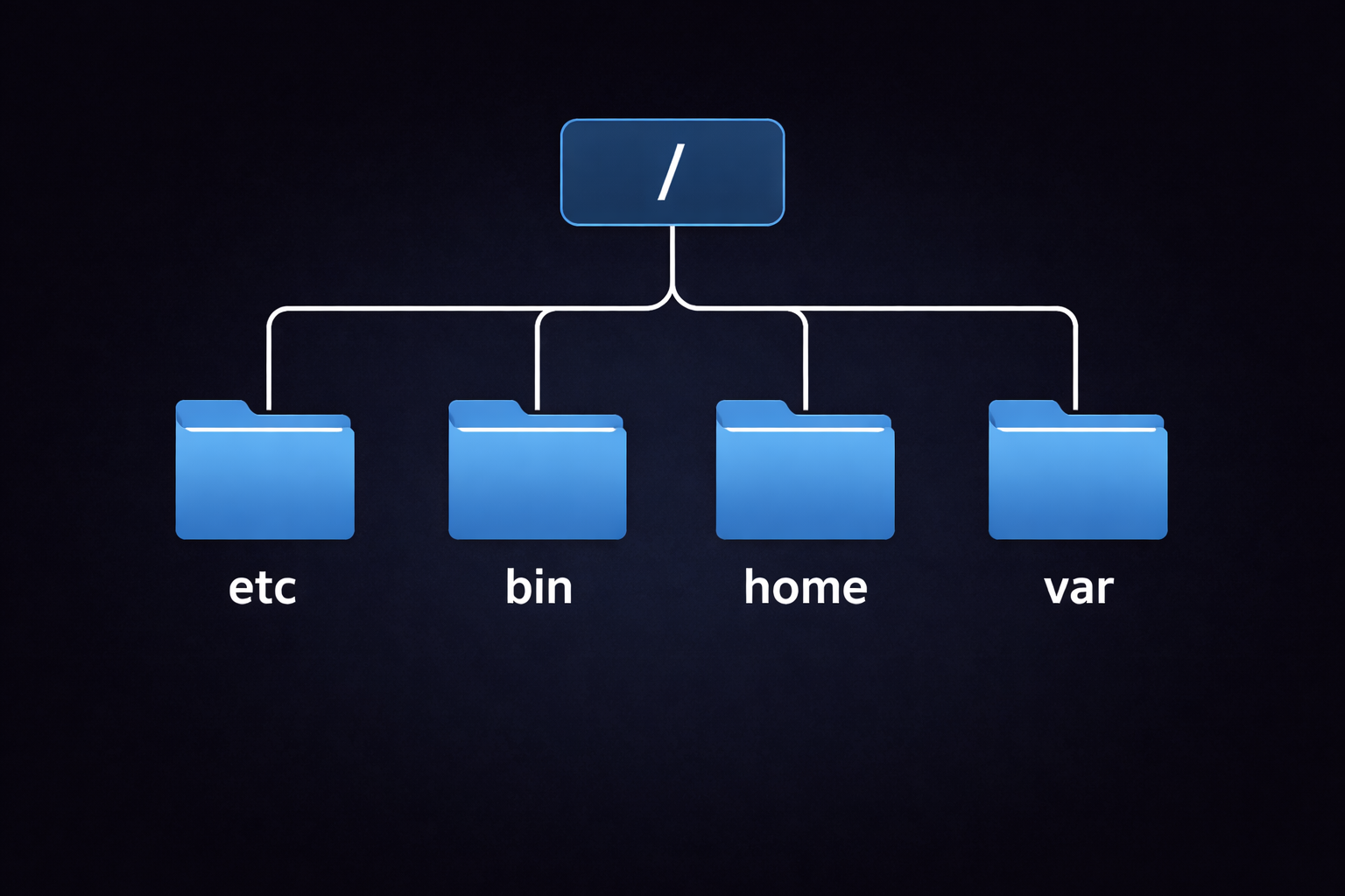 Linux File System Tree